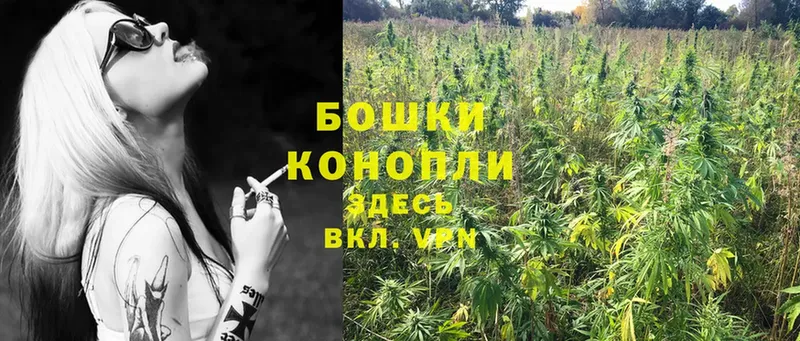 МАРИХУАНА SATIVA & INDICA  Алатырь 